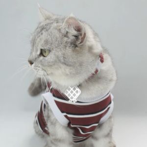 Kalung Kucing Stripe Poliester Multicolor Bukipet Lebaran Series