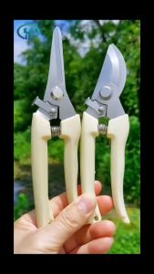 426TOOLกรรไกรตัดกิ่งไม้ กรรไกรตัดแต่งกิ่งไม้ กรรไกรทําสวน กรรไกรแต่งกิ่งปากโค้ง กรรไกรตัดกิ่ง แบบสเตนเลส