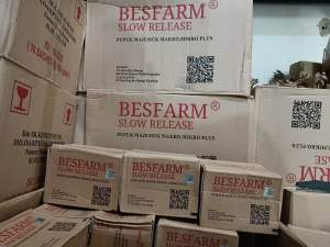 [1DUS 16 BOX] Besfarm Slow Release Pupuk Majemuk Makro Mikro Plus