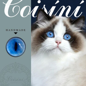 Mắt Mèo Thủ Công DIY Bằng Vải Lông Cừu Mô Phỏng Động Vật Mắt Thủy Tinh Mắt Mèo Bằng Vải DIY Kit Vật Liệu Thủ Công