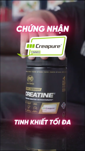 Bột tăng sức mạnh PVL 100% German Creatine Creapure | Ultrapure Creatine Monohydrate - GYMSTORE