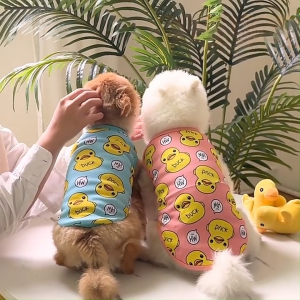 Áo ba lỗ Chó Mèo hình chú vịt vàng dễ thương (mẫu mới) - Love Pets Shop