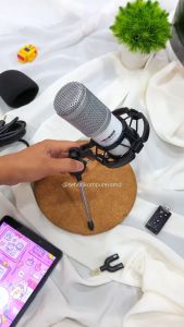 Microphone Mic Condenser Audio NYK Nemesis MCA-06 Apollo