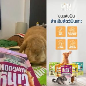 Tiny Kingdom ขนมลับฟัน Healthy Treats สูตร หญ้า TIMOTHY STIX 50g