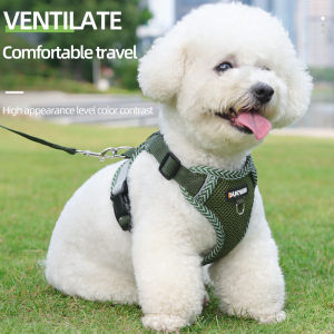 Dog Harness Cat Leash Small Dog Breathable Summer Puppy Bichon Frise Breathable Harnesses Teddy Lead Pet Leash Dog Accessories