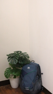 RIGI Tas Ransel Backpack Daypack Tas Punggung Tas Daypack Pria Tas Backpack Tas Ransel Laptop Tas Gendong Laptop Tas Ransel Sekolah Tas Daypack Outdoor WANDERS 30 L