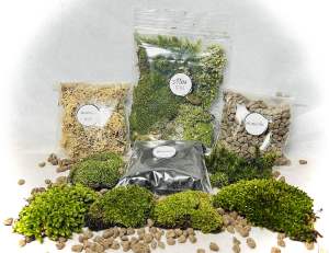 ชุดวัสดุ จัดสวนขวดโหล DIY