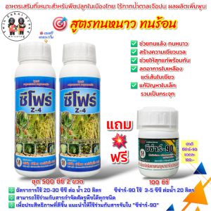 ตราเงาะคู่ ซีโฟร์ ซิงค์ แก้ใบเหลือง ทนหนาว ทนร้อน ทนแล้ง แก้ใบแก้วส้ม [2 แถม 1]