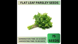 100G 10000pills Easy to Grow VEGETABLES SEEDS Brand: RAMGO Okra Talong Kangkong Pechay Tomato Sitaw Onion etc Premium Quality Fast Germination rate.