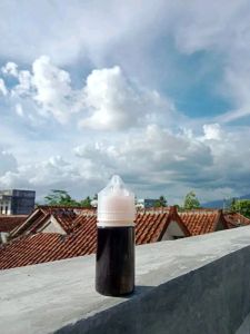 essen ikan dengan 19 aroma katilayu bisa bayar di tempat COD