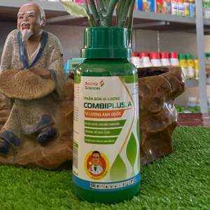 Phân bón vi lượng COMBIPLUS.A chai 200ml của BIOCROP thần dược dinh dưỡng