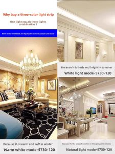 SAINAHEPAN | Color-Changing LED Light Strip Ultra-Bright Waterproof