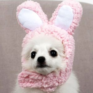 Cat Headwear Bear Costume Pet Accessories Cute Baby Cat Hat Photography Props Universal Size Pet Costumes Animal Themed Hats