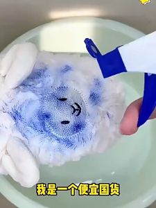 【现货】Clothes and Fabric Deep Clean Stain Remover Spray 500ml 衣物渗透剂去污渍免水干洗去黄去油渍衣服油迹活性酶清洁神器 500ml