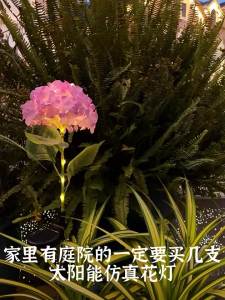 Solar Garden Decorative Lighting