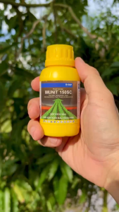 Thuốc Trừ Sâu IMUNITTM 150SC – Đột Kích Sâu Cho Một Khởi Đầu Hoàn Hảo (Chai 100ml)