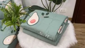 Ga trải giường m6/m8 drap giường poly nhiều mẫu lựa chọn