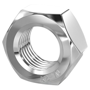 TIANZHUOJINSHU | Stainless Steel 500h Salt Spray Resistant Nuts and Bolts