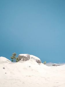 Beneunder | Women Waterproof Insulated Down Ski Jacket