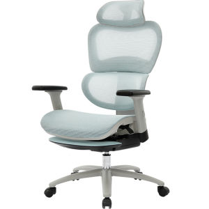 BOJOJAN | Ergonomic Chair for Teenagers and Students