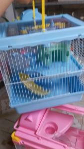 LỒNG LÂU ĐÀI CHO HAMSTER