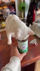 Pate Catchy Lon 400g Dành Cho Mèo Mọi Lứa Tuổi