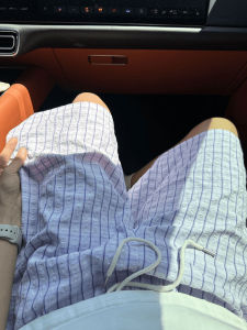 Quần Short Kẻ Sọc Màu Xanh Lá Cây Mùa Hè Mỏng Đi Biển Quần Dài Năm Điểm Cho Nam Quần Dài Thường Ngày Mùa Hè