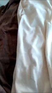 Elastic Chair Covers: A Comprehensive Guide