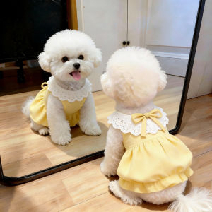 Petone dOrage | Summer Lace Princess Pet Dress Anti Shedding Lightweight