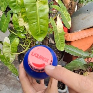 Vitamin B1 Tanaman Liquinox Made In USA 100 ML