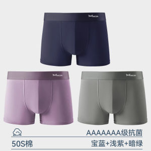 Quần Lót Nam Catman Cotton Nguyên Chất Thoáng Khí Thoải Mái Kháng Khuẩn Cỡ Lớn Quần Đùi Cạp Vừa Mùa Thu Đông Quần Lót Liền Mạch