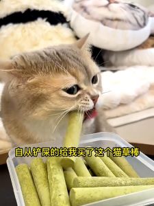 Thanh cỏ Mèo mix thịt gà Tiêu búi lông mài răng cho mèo