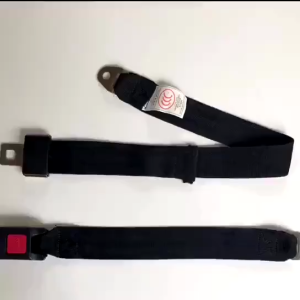 MOTUS Car Auto Bus Seat Safety Belt 2 Points Adjustable Universal Seat Belt