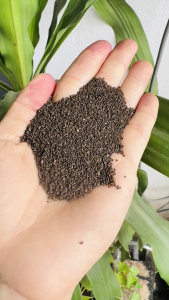 10 Kg Cát Mangan lọc nước - Vật liệu lọc phèn xử lý