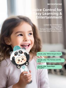 Bluetooth Early Education Karaoke Microphone with Speaker
