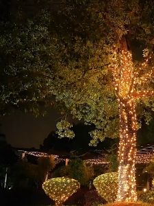 NIGHTCITY ไฟโซล่าเซลล์ โคมไฟพลังงานแสงอาทิตย์ LED ไฟปีใหม่ ไฟคริสต์มาส ไฟตกแต่งตามเทศกาล ยาว 10-100เมตร กันน้ำ สําหรับตกแต่งสวน