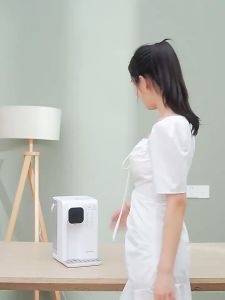 Instant Drinking Water Dispenser Household Small Desktop Dormitory Desktop Boiling Water Machine Instant Portable