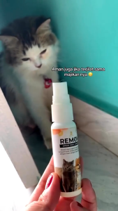 REMOV Spray Obat Jamur Kucing Dan Anjing 30ml