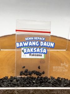 Benih Bawang Daun Raksasa Unggulan Berkualitas Biji Bibit repack Leek Elefent Onion hydroponik hidroponik elephant prei gajah sayur sayuran pot