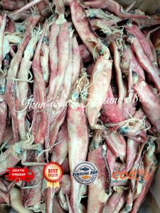 Ikan Asin Cumi / Sotong Jarum Asin Kualitas Premium