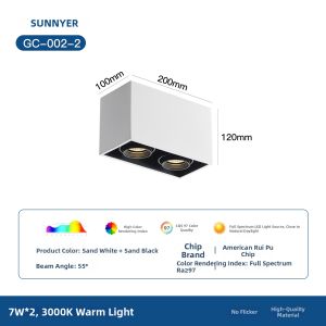 LED Surface Mounted Double Head Ceiling Light for Living Room Accent Lighting