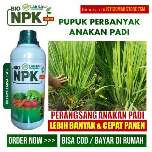Pupuk Cair BIO NPK LAKSA 500 ml – Solusi Perbanyak Anakan Padi & Sehat Perbanyak Hasil Panen Padi