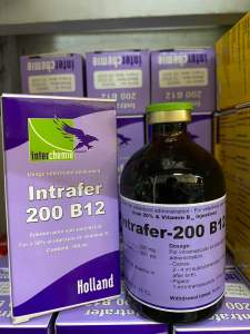 Intrafer 200 B12 (100ml) bổ sung sắt B12 ngăn ngừa thiếu máu ở gia súc gia cầm