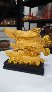 6 ตัว ปลาอโรวาน สีทองพ่นทราย บนฐานสีดำ สัญลักษณ์ของความมั่งคั่งและอุดมสมบูรณ์ ขนาด 13 นิ้ว