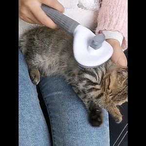 Pet Comb Cat Comb Grooming Dog Comb Grooming Hair Fur Removal Sikat Kucing Deshedding 宠物梳子猫梳子狗梳子梳毛去浮毛