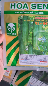 (Gói 10gr) Hạt Giống Dưa Leo Ưu Thế Lai F1 VL-647 HOA SEN