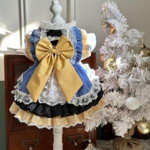 AW High-End Pet Clothing Snow White Lace Heavyweight Low Saturation Cat Yellow Blue Attention-Grabbing Color Block Design