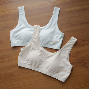 Two-Piece Silk Underwear Set for Teenage Girls No Underwire Modal Fabric Development Stage 1-2 Student Bras Seamless Comfortable