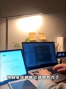 已开光 进化磁场香料 招财 好运香薰天然经典松木清新空气线香 天然松塔香净化线香熏室内持久卧室淡香招财 Natural Pine Cone Incense Pure Air Purification Attract Wealth Ancient Method Original Pine Wood Aromatherapy Gift Tower Incense