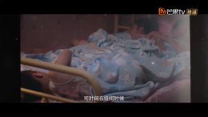USB China Drama 2 in 1 狐狸的夏天1、2季 + 以家人之名 华语中字 Chinese subtitle 大陆剧 谭松韵